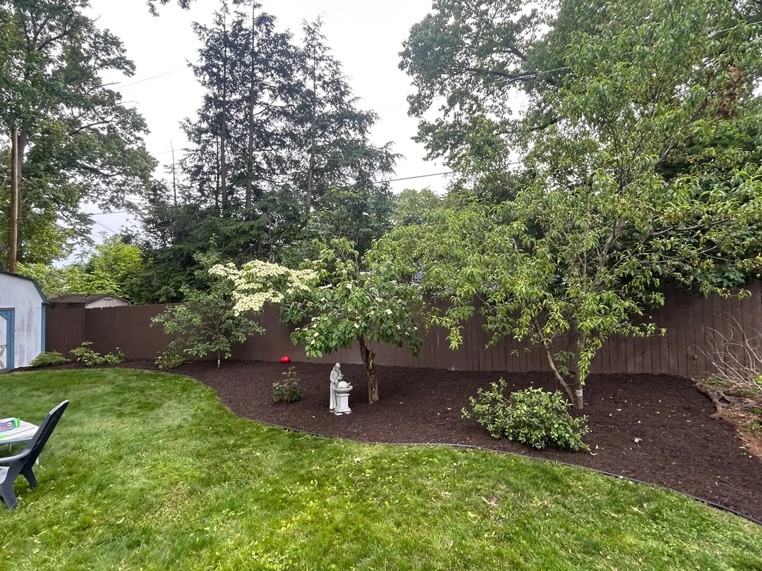 The same backyard trees surrounded by a clean, dark mulch bed