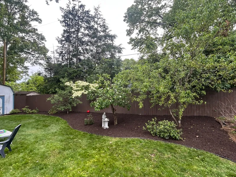 Fresh dark mulch beneath small trees along a backyard fence