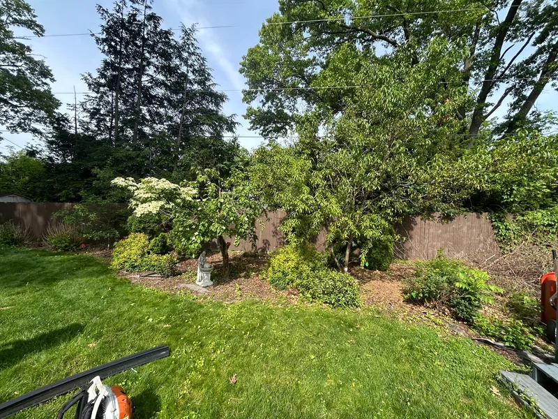 Overgrown planting areas along a fence with small trees and a garden statue