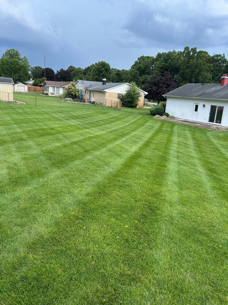 Even mowing lines across an open backyard lawn