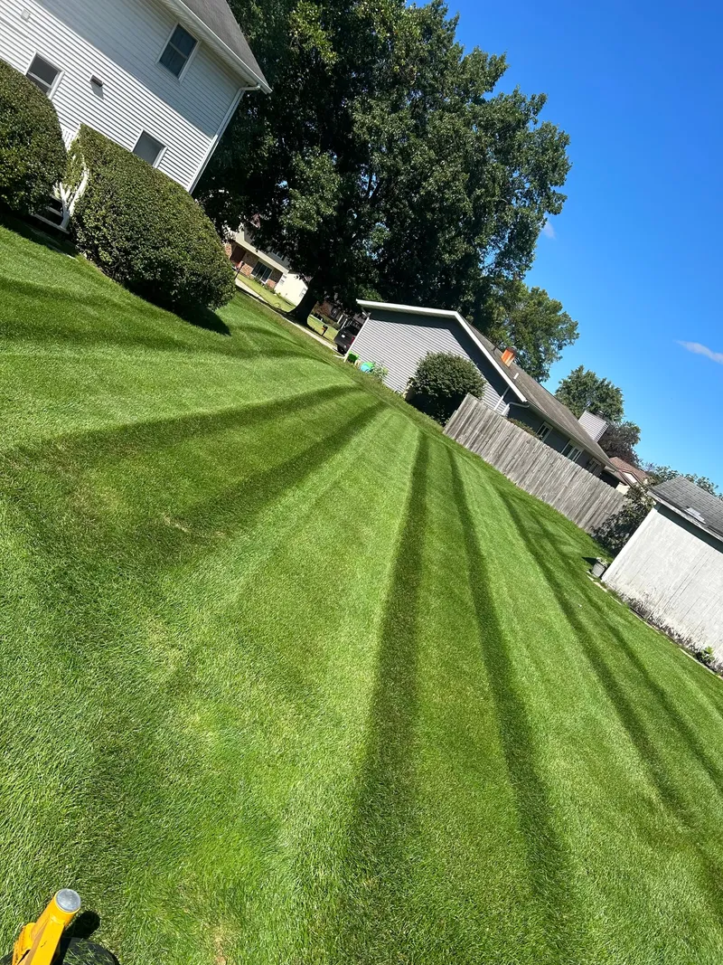 Fresh mowing stripes across a green backyard beside homes and a wooden fence