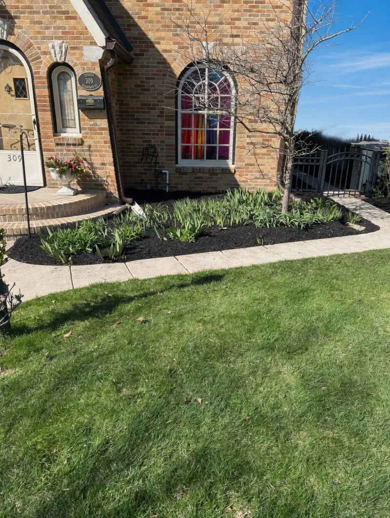 Fresh dark mulch and green plants beside an arched brick-building window