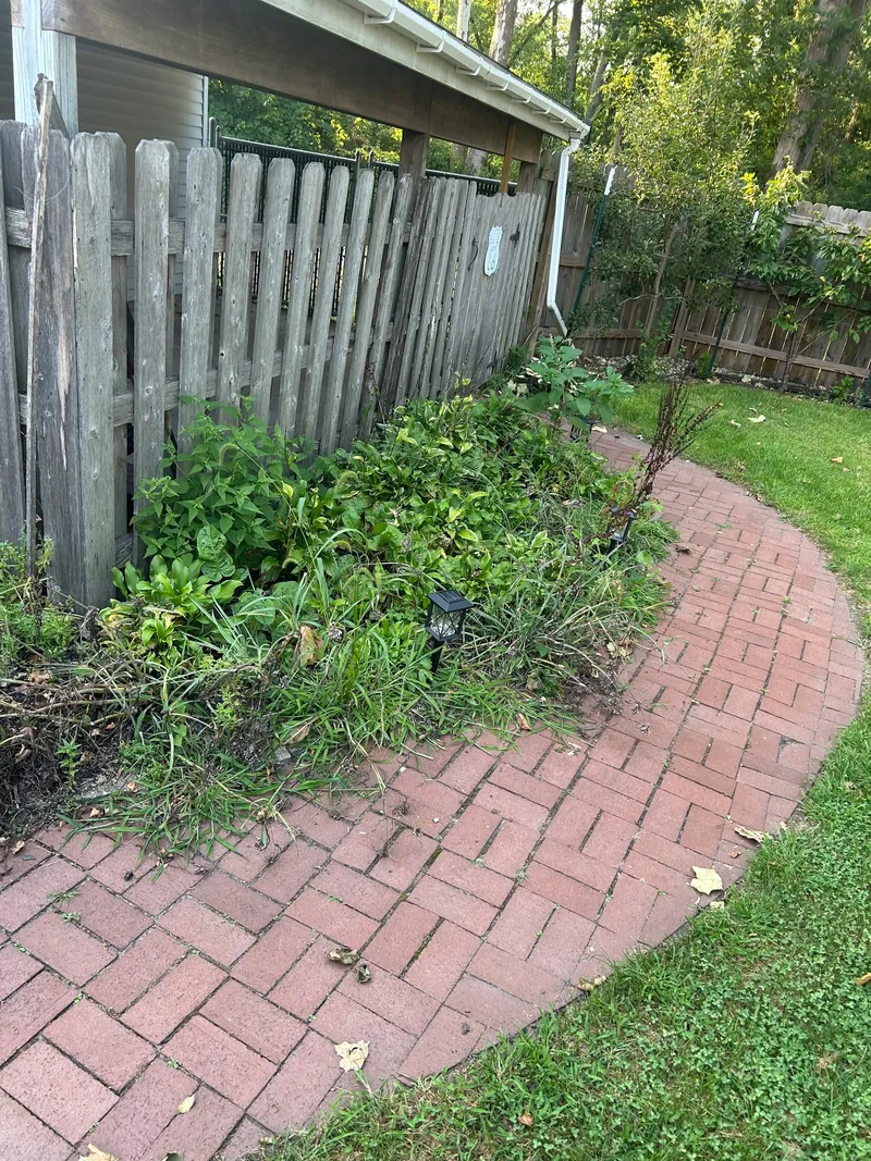 Overgrown plants beside a curved brick path and wooden enclosure