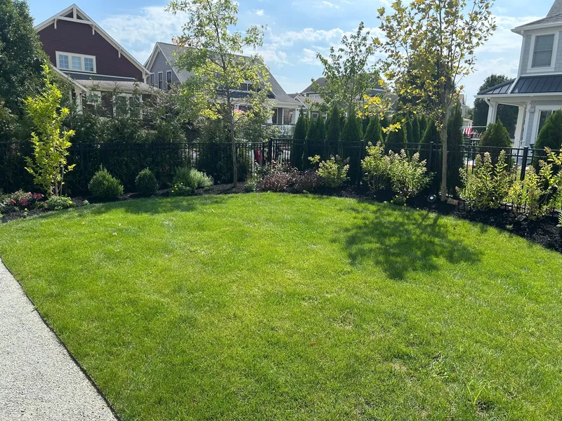 Fresh mulch in garden beds around a sunny courtyard lawn