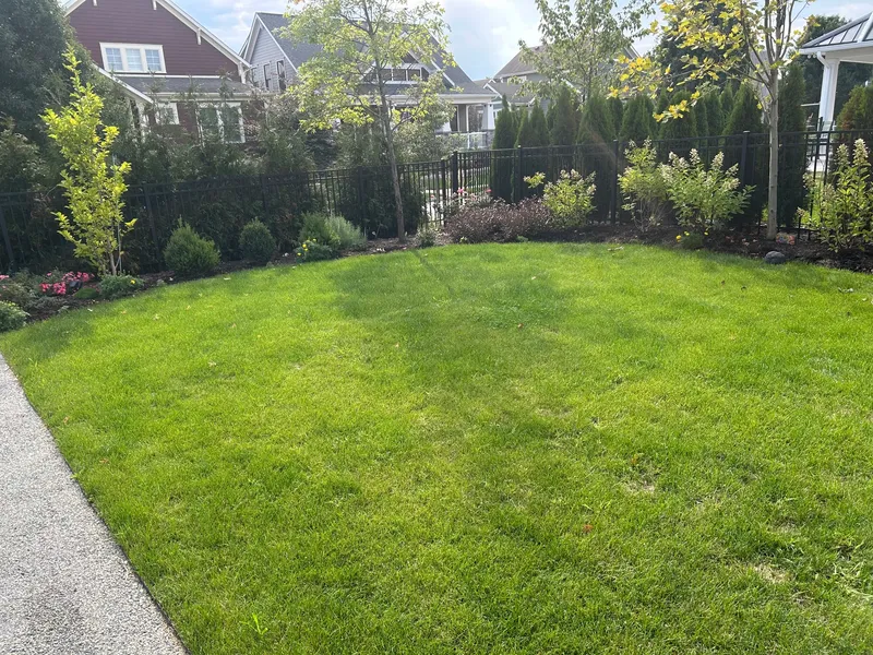 A green courtyard lawn and surrounding beds before the mulch refresh
