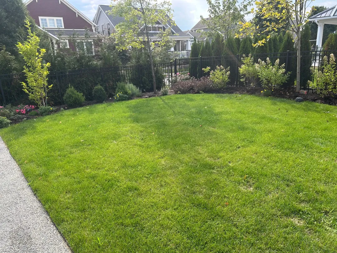 A green courtyard lawn and surrounding beds before the mulch refresh