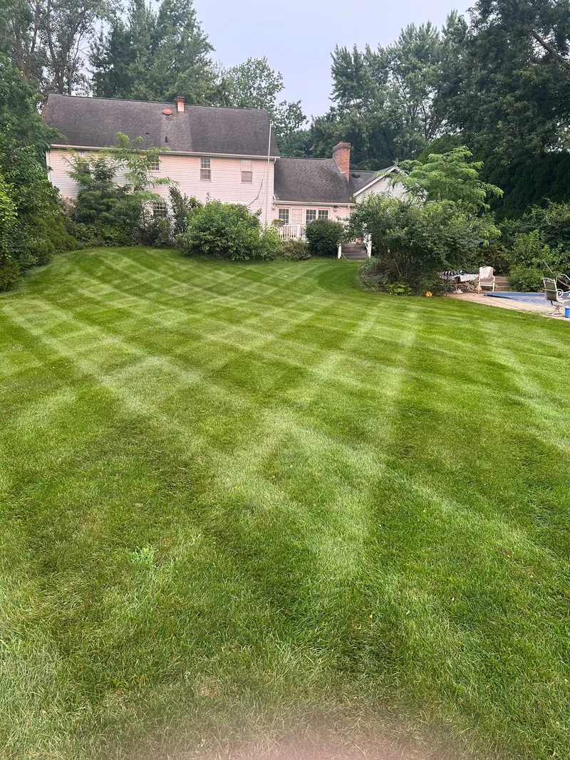 Crosshatched mowing lines across a green backyard