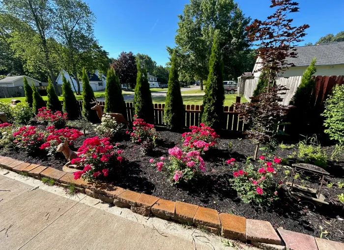 Colorful flowering plants in a landscaped garden bed