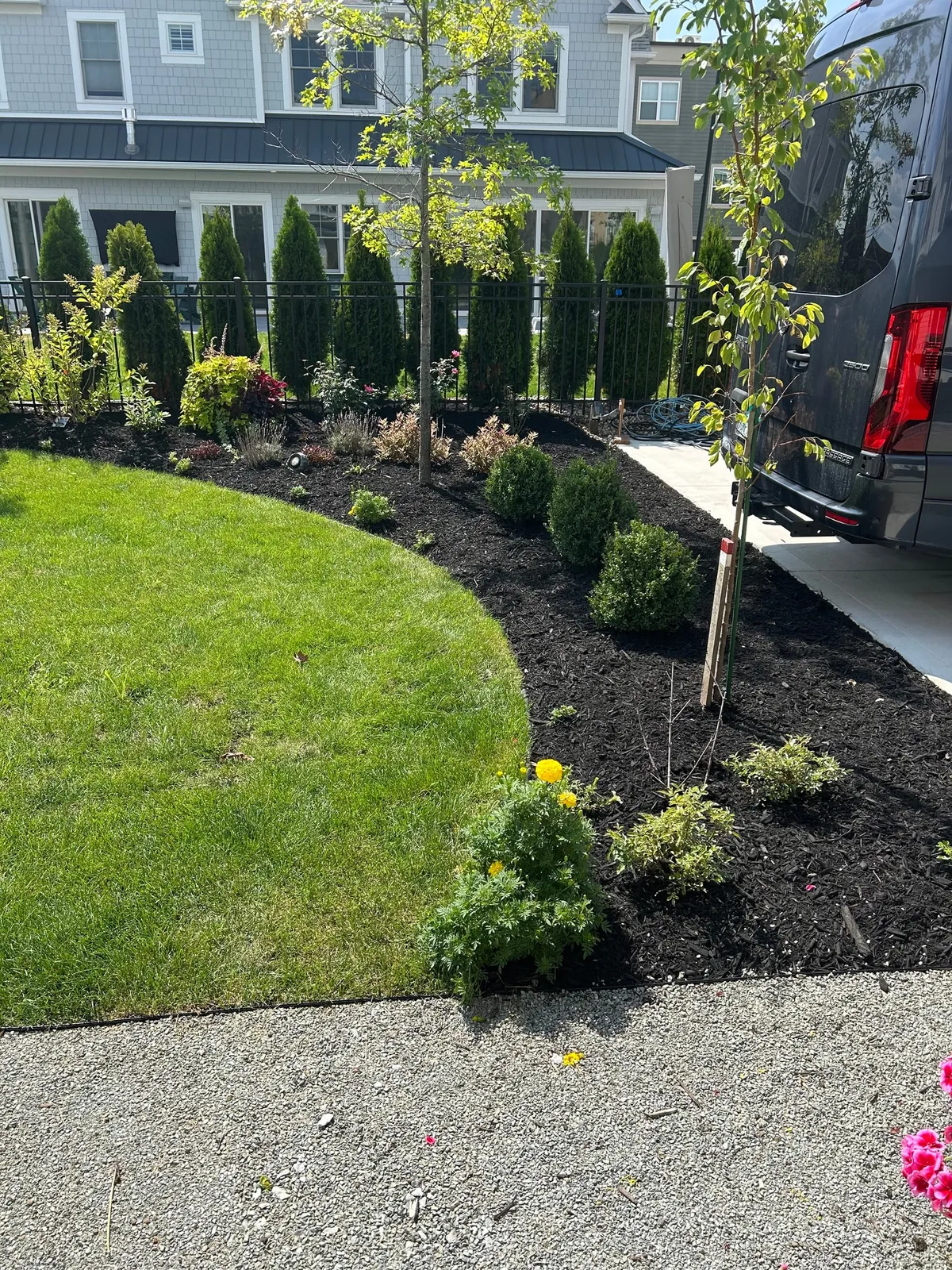 Fresh dark mulch around courtyard trees and shrubs