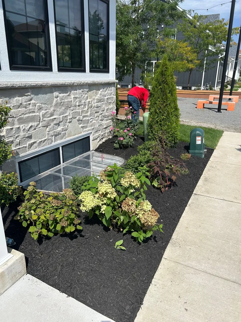 Fresh dark mulch and flowers beside a stone porch, with a person in the background