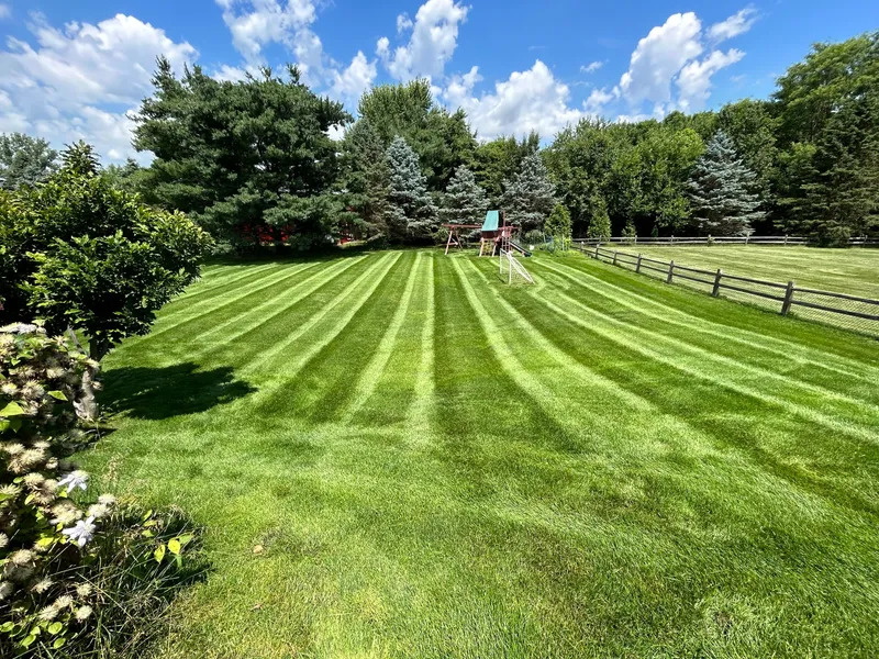 Mowing stripes beside a split-rail fence and evergreen trees