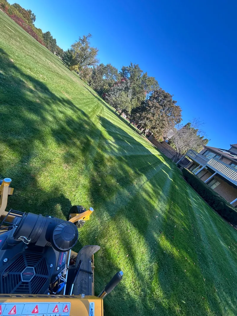 Mowing stripes across a sunny lawn, photographed from a mower