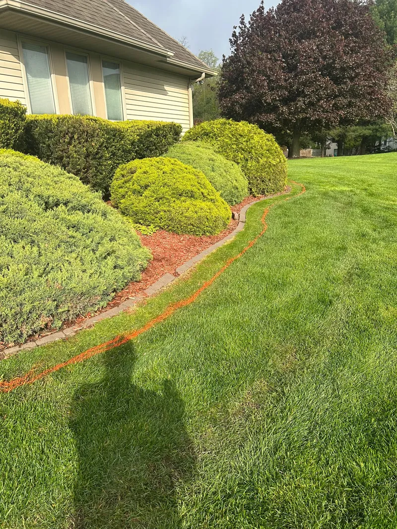 Rounded shrubs in a red mulch bed before a stone-bed refresh