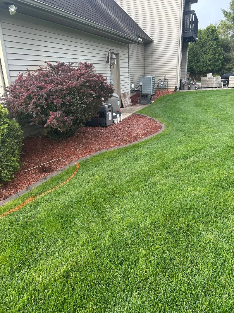 A red mulch bed beneath shrubs along house siding before refresh