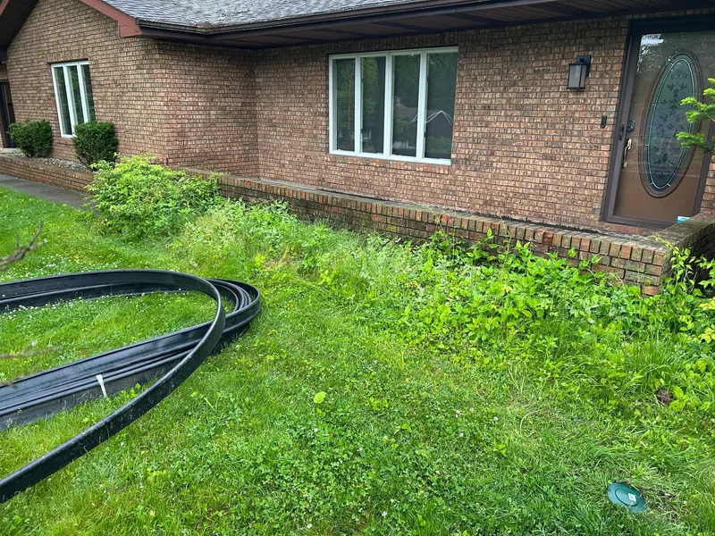 Overgrown plants below the windows of a single-story brick home