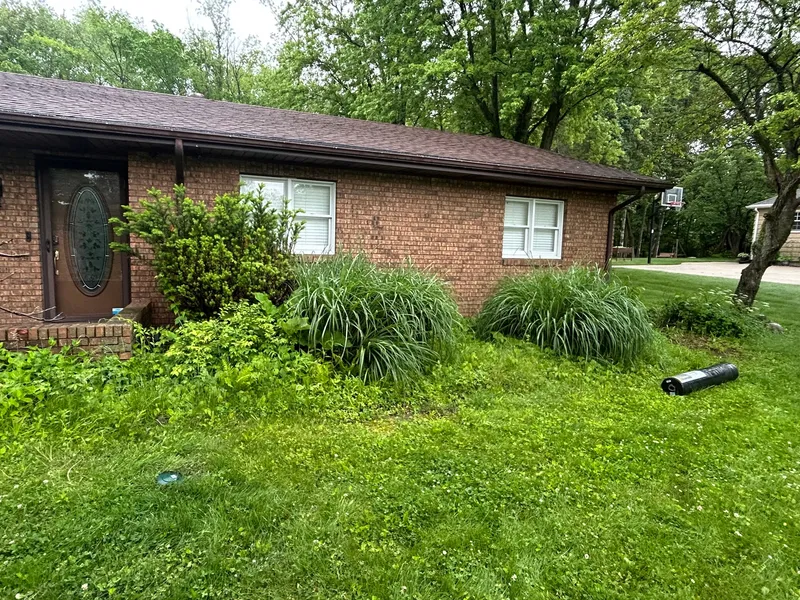 Tall plants and untrimmed growth along a brick home's front entrance