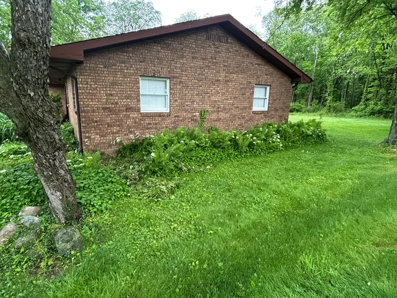 Tall grass and growth beneath a side window of a brick home