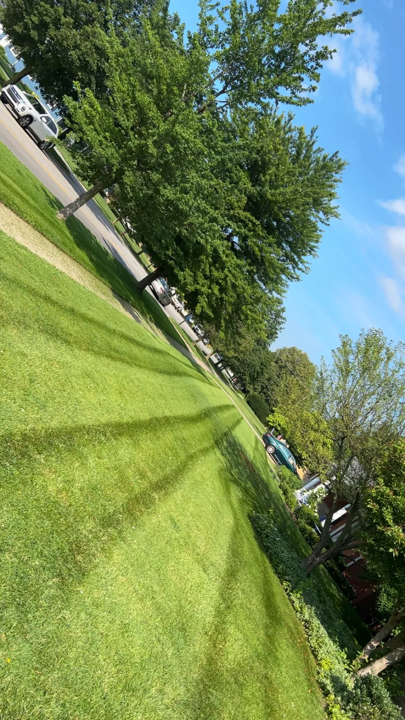Parallel mowing stripes beside a sidewalk, photographed at an angle