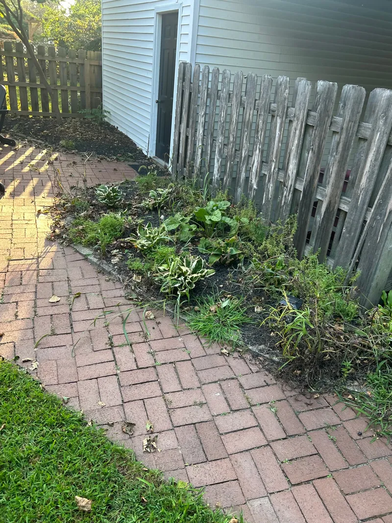 Weeds and plants crowding a brick path beside a wooden fence