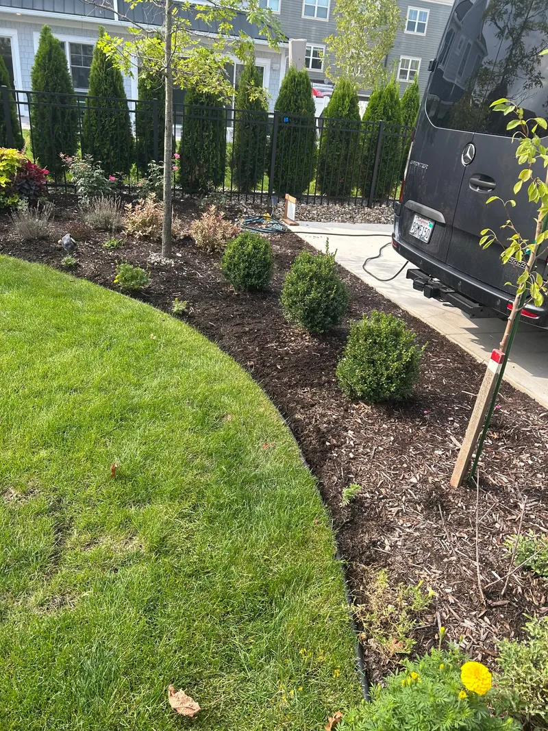 A planted curved bed beside a courtyard before fresh mulch