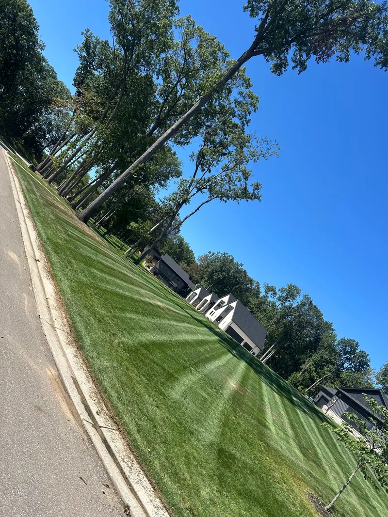 Freshly mowed lawn beside a sidewalk under a blue sky