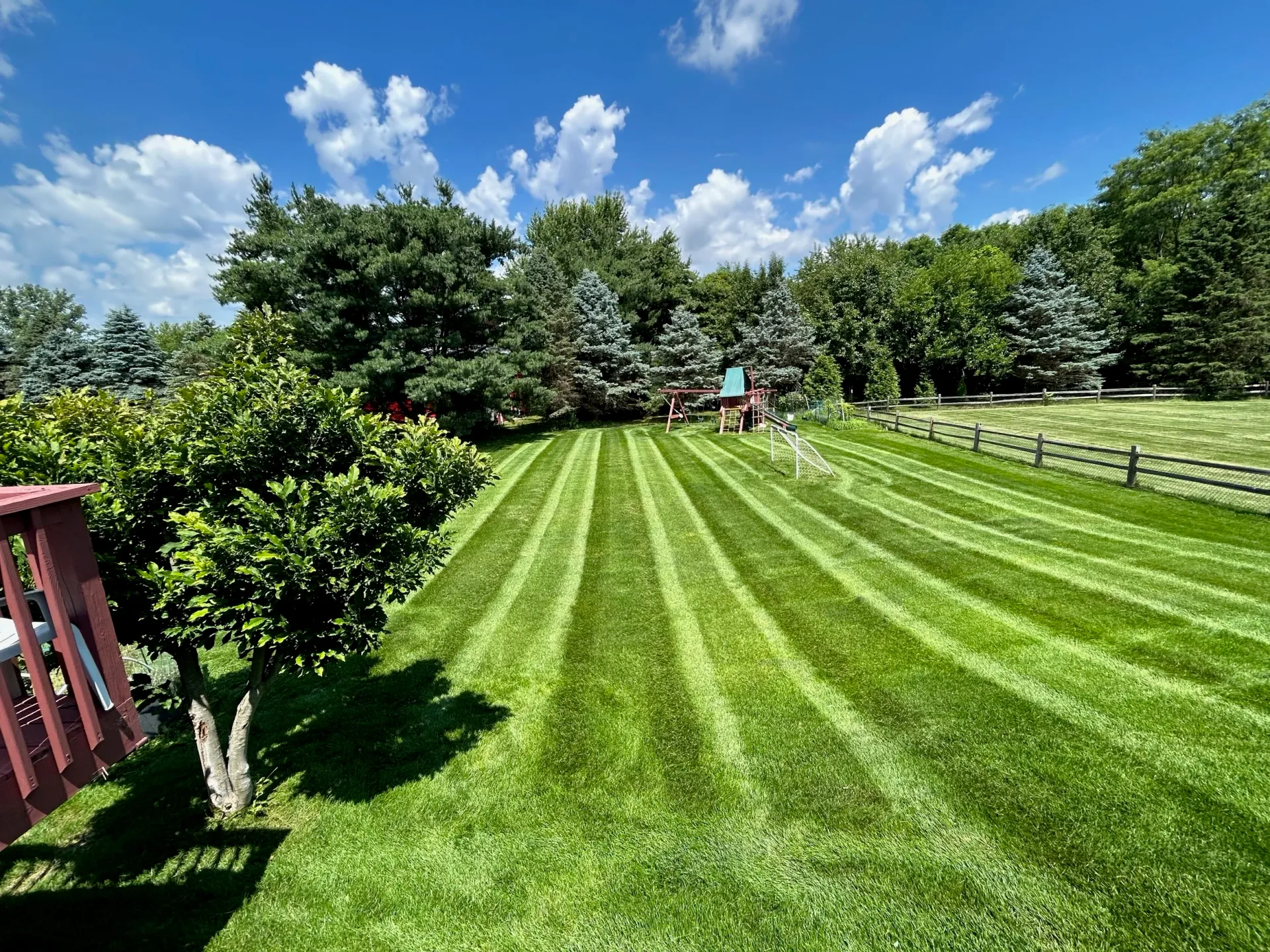 A freshly mowed Flores Landscaping lawn framed by mature trees