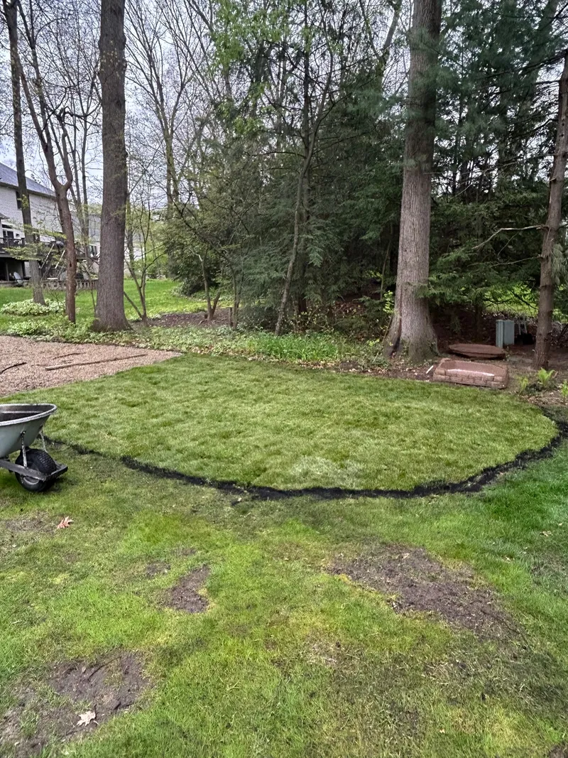A newly laid patch of turf beside trees and work equipment
