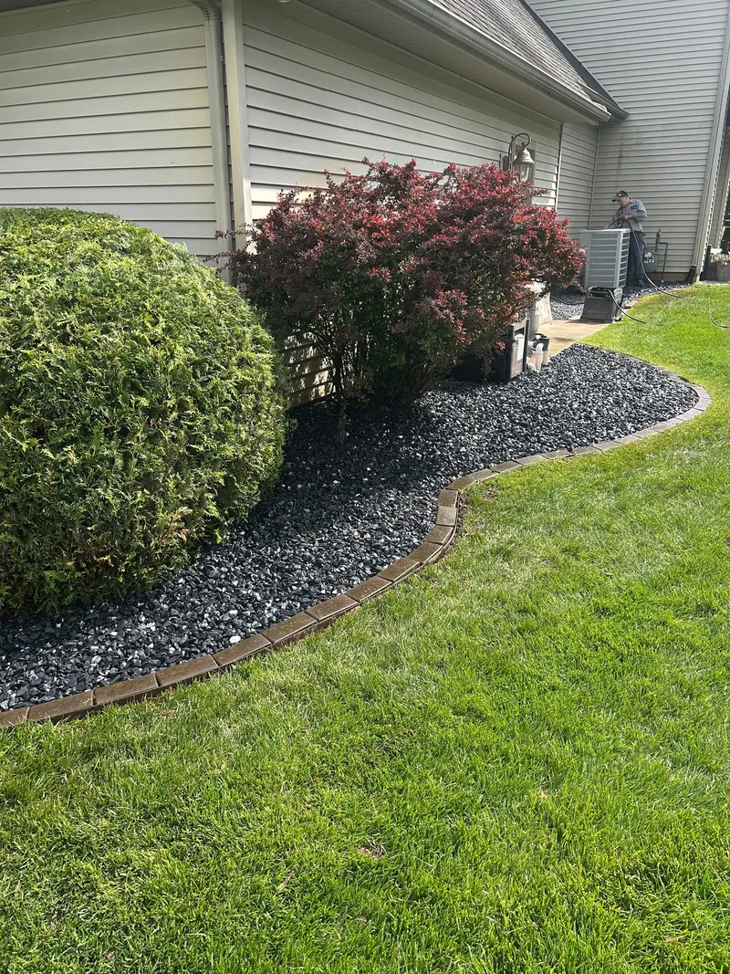 Rounded shrubs above a dark stone bed with a defined edge