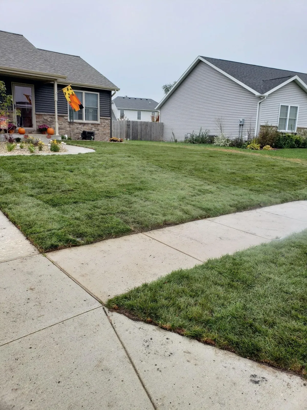 Newly installed sod alongside a residential walkway