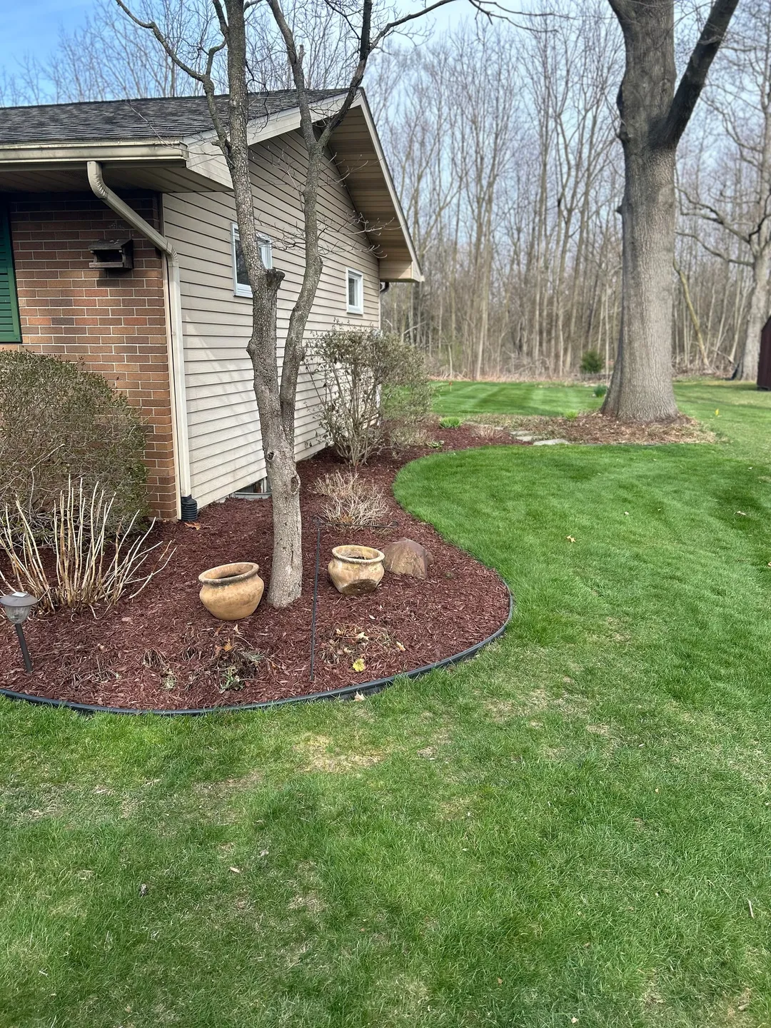 Fresh red mulch around trees and shrubs beside a green spring lawn