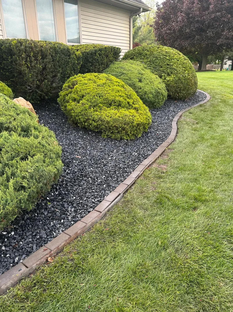 Neatly shaped shrubs surrounded by dark stone and curved edging