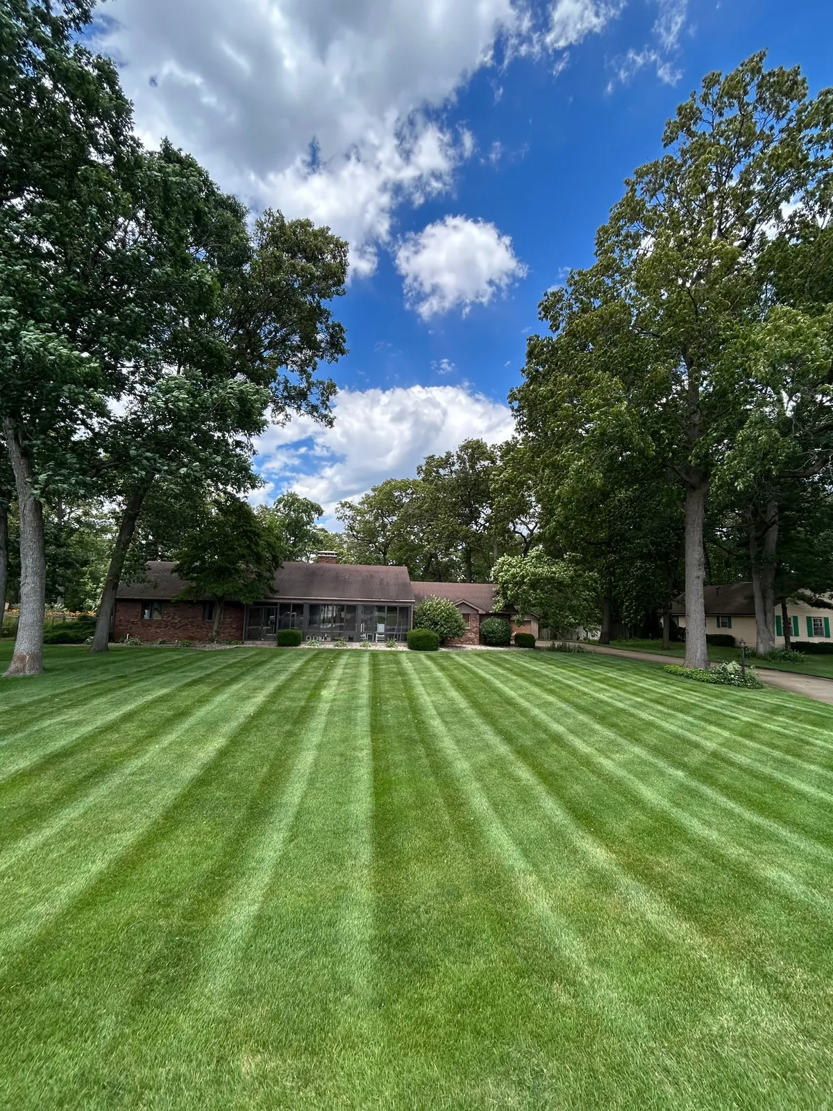 Long mowing stripes framed by mature trees